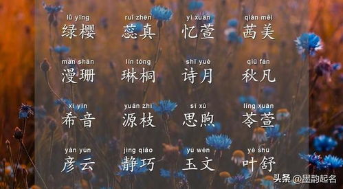 简单大气好记的名字(最简单好记的名字) 简单大气好记的名字(最简单好记的名字)