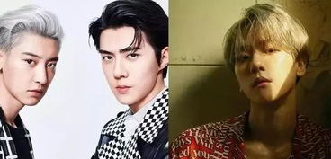 艺名(艺名男) 艺名(艺名男)