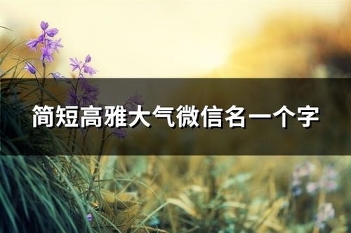 高雅的微信名(高雅的微信名字) 高雅的微信名(高雅的微信名字)