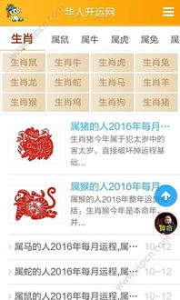 八卦测算（八卦测算软件）