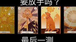 测一测今日运势(测测今日运势兔) 测一测今日运势(测测今日运势兔)