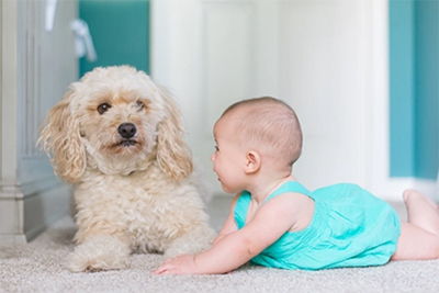 缺火比较洋气的男孩名字(缺火的男孩名字洋气有哪些? 缺火比较洋气的男孩名字(缺火的男孩名字洋气有哪些?