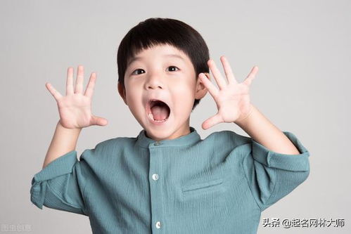 缺火比较洋气的男孩名字(缺火的男孩名字洋气有哪些? 缺火比较洋气的男孩名字(缺火的男孩名字洋气有哪些?