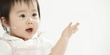 杨取名字男孩(杨取名字男孩积极向上) 杨取名字男孩(杨取名字男孩积极向上)