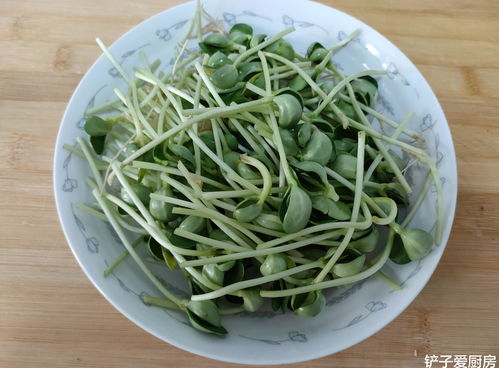 大气的网名(80后女人简单大气的网名) 大气的网名(80后女人简单大气的网名)