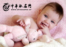 兔宝宝取名字大全免费(兔宝宝姓名大全) 兔宝宝取名字大全免费(兔宝宝姓名大全)