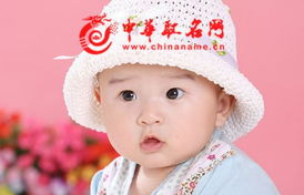 兔宝宝取名字大全免费(兔宝宝姓名大全) 兔宝宝取名字大全免费(兔宝宝姓名大全)