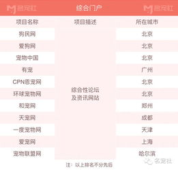 个人网站名称大全(有名的个人网站) 个人网站名称大全(有名的个人网站)