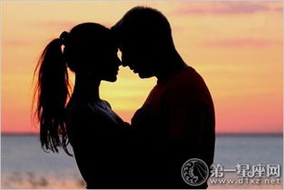 测试你最终的爱人(测试你内心最爱的人) 测试你最终的爱人(测试你内心最爱的人)