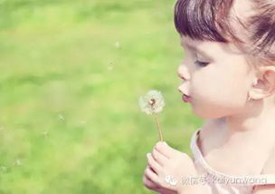 独一无二洋气女宝小名(女宝可爱洋气小名) 独一无二洋气女宝小名(女宝可爱洋气小名)