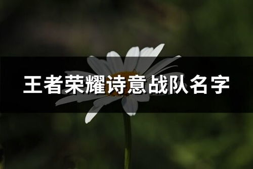 2个字有意境的名字(2个字有诗意的名字) 2个字有意境的名字(2个字有诗意的名字)
