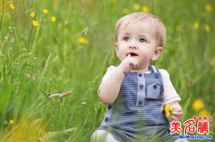 猪年男宝宝寓意好名字(猪年男宝宝大好前程好名字) 猪年男宝宝寓意好名字(猪年男宝宝大好前程好名字)