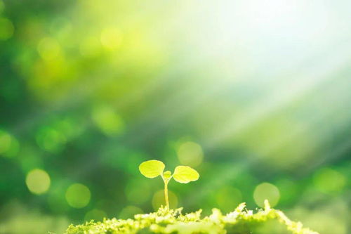 带珺字的男孩名字(男孩名字带珺好不好) 带珺字的男孩名字(男孩名字带珺好不好)