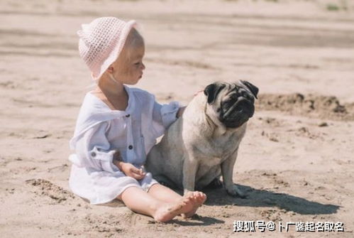 给虎宝宝取名字男(虎宝宝取名字 男) 给虎宝宝取名字男(虎宝宝取名字 男)