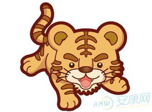 男孩虎年起名大全(虎年男孩子名字大全) 男孩虎年起名大全(虎年男孩子名字大全)