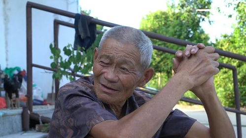 80岁网红凯凯爷爷去世 80岁网红凯凯爷爷去世