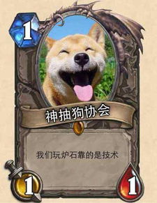 两岁半小狗棍法“出神入化”