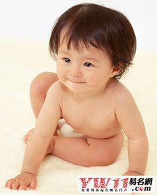 宝宝取名免费起名大全男孩（宝宝取名免费起名大全男孩子）