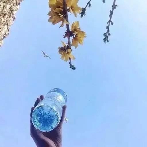 个性签名干净短句正能量（个性签名句子短句励志）