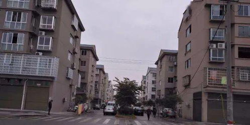 女孩带金旁文雅的名字（女孩带金旁文雅的名字有哪些）