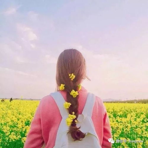 一看就舒心的微信头像（一看就舒心的微信头像背影女）