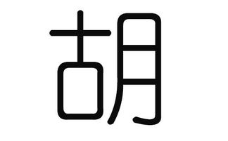 胡姓名字大全男孩（胡姓氏取名男孩）