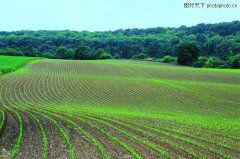 适合农业公司名字大全(三农取名500个) 适合农业公司名字大全(三农取名500个)