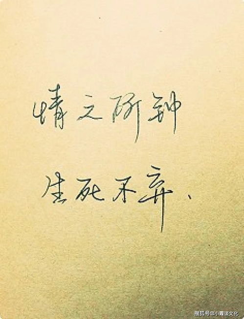 qq个性签名简短有深意爱情(qq个性签名简短有深意爱情诗句) qq个性签名简短有深意爱情(qq个性签名简短有深意爱情诗句)