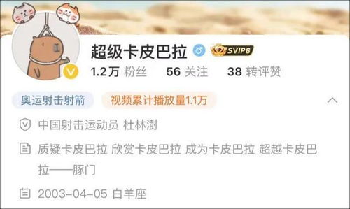 一看就是单身的网名(2025单身网名) 一看就是单身的网名(2025单身网名)