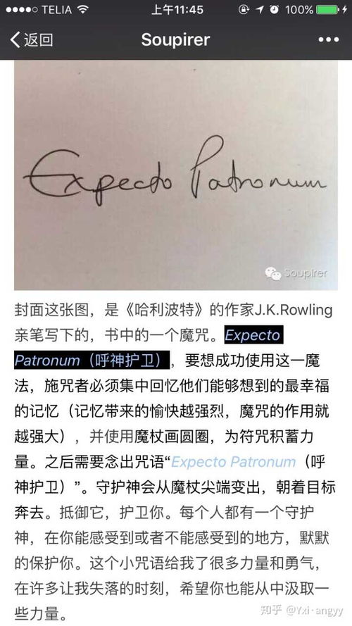 好看的英文网名昵称(超好看的英文昵称) 好看的英文网名昵称(超好看的英文昵称)