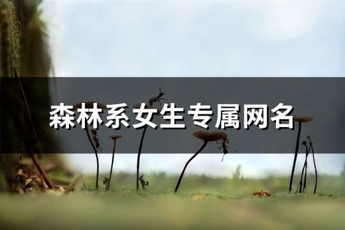 有创意的网名字（有什么好创意的网名大全）