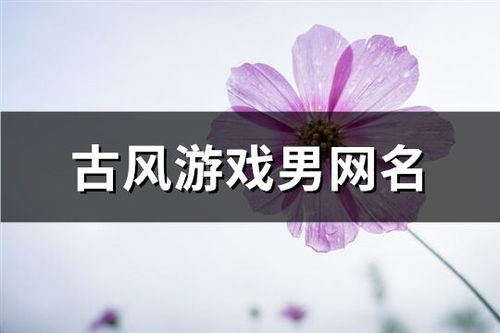 游戏名字古风诗意情侣网名(游戏名字古风诗意情侣网名大全) 游戏名字古风诗意情侣网名(游戏名字古风诗意情侣网名大全)
