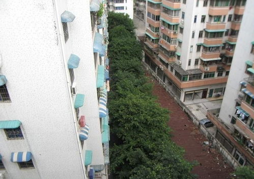 增福阁婚姻测试(增福阁婚姻测试入口) 增福阁婚姻测试(增福阁婚姻测试入口)