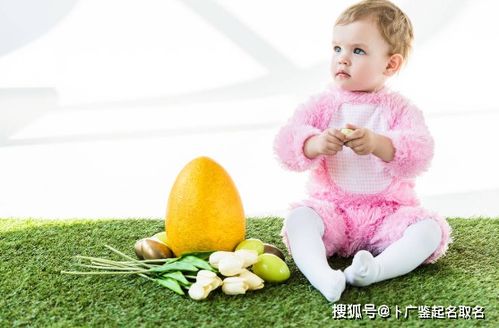 女宝宝取名字大全集2023兔(2021年女宝宝免费取名) 女宝宝取名字大全集2023兔(2021年女宝宝免费取名)