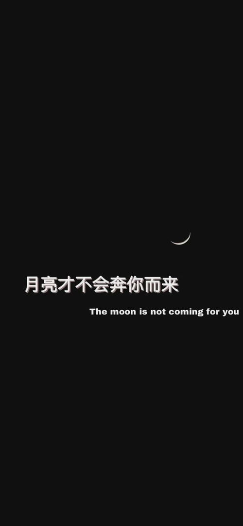 抖音热门网名(抖音热门网名语录) 抖音热门网名(抖音热门网名语录)