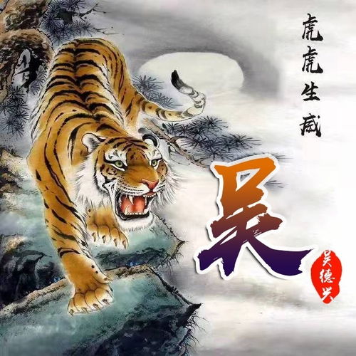 虎年窦的名字男孩洋气（窦姓男孩名字）