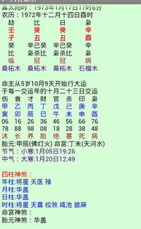 免费四柱八字排盘大运(四柱八字大运排法) 免费四柱八字排盘大运(四柱八字大运排法)