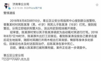 儿子收父亲生前百万转账遭继母起诉