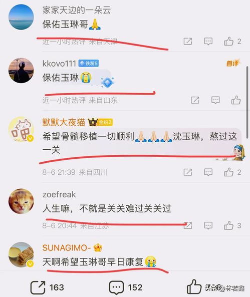 沈玉琳发文确认患白血病 沈玉琳发文确认患白血病