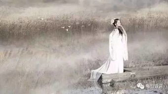 诗经名句(诗经名句蒹葭苍苍白露为霜) 诗经名句(诗经名句蒹葭苍苍白露为霜)