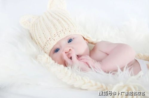 给出生的宝宝起名打分(新生婴儿免费取名打分) 给出生的宝宝起名打分(新生婴儿免费取名打分)