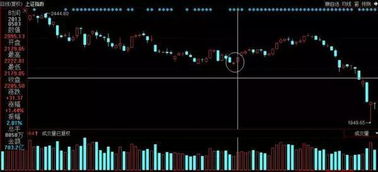 启明星2号(启明星2号龙头股票) 启明星2号(启明星2号龙头股票)