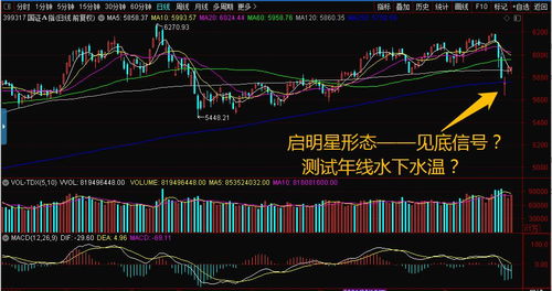 启明星2号(启明星2号龙头股票) 启明星2号(启明星2号龙头股票)