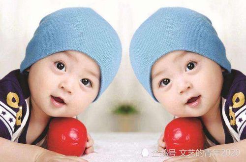 陈姓男宝宝名字大全（陈姓男宝宝取名字大全免费）