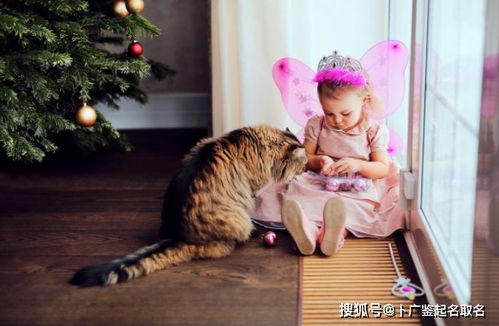 赵姓女孩名字(赵姓女孩名字属蛇) 赵姓女孩名字(赵姓女孩名字属蛇)