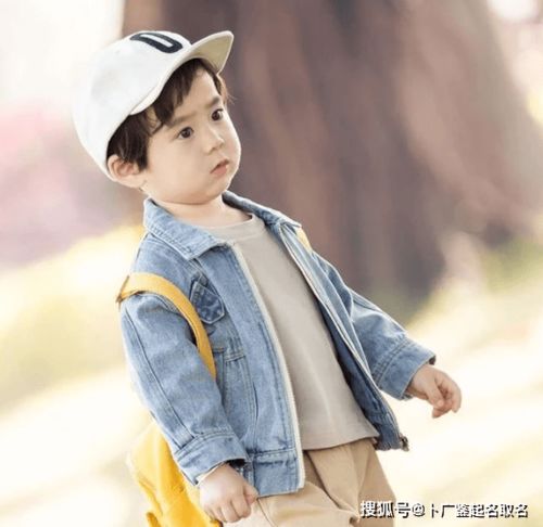 最好听的男孩名（最好听的男孩名字排行榜）