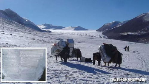 1997年掉入冰川 失踪男子尸体被发现 1997年掉入冰川 失踪男子尸体被发现