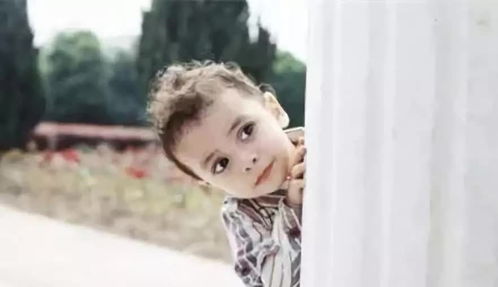 龙凤胎取名大全1000个（龙凤胎起名字大全内涵有寓意）