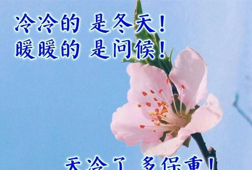 三观超正的温柔句子(三观超正的温柔句子对女生说的话) 三观超正的温柔句子(三观超正的温柔句子对女生说的话)