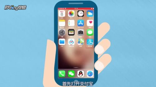 手机号码查询机主姓名 手机号码查询机主姓名